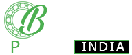 Bearing Power India